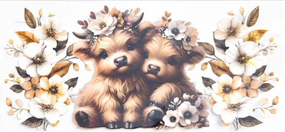 Floral Highland Cow Besties Collection