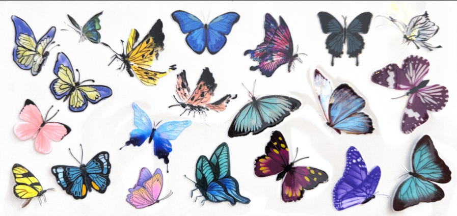 Butterfly Kaleidoscope Collection