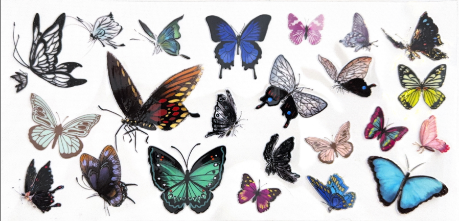 Elegant Butterfly Collection