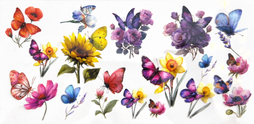 Butterflies & Wildflower Blooms