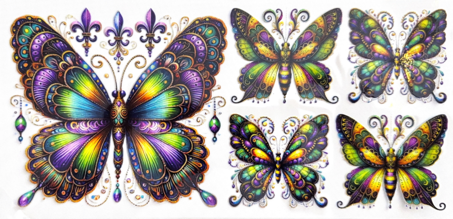 Royal Jewel Butterfly Collection