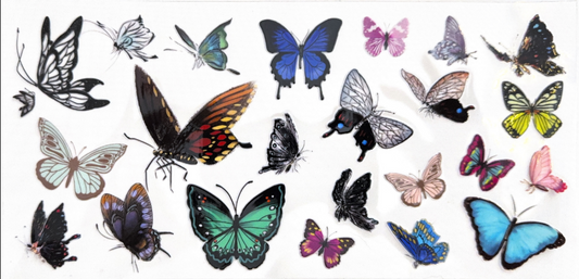 Elegant Butterfly Collection